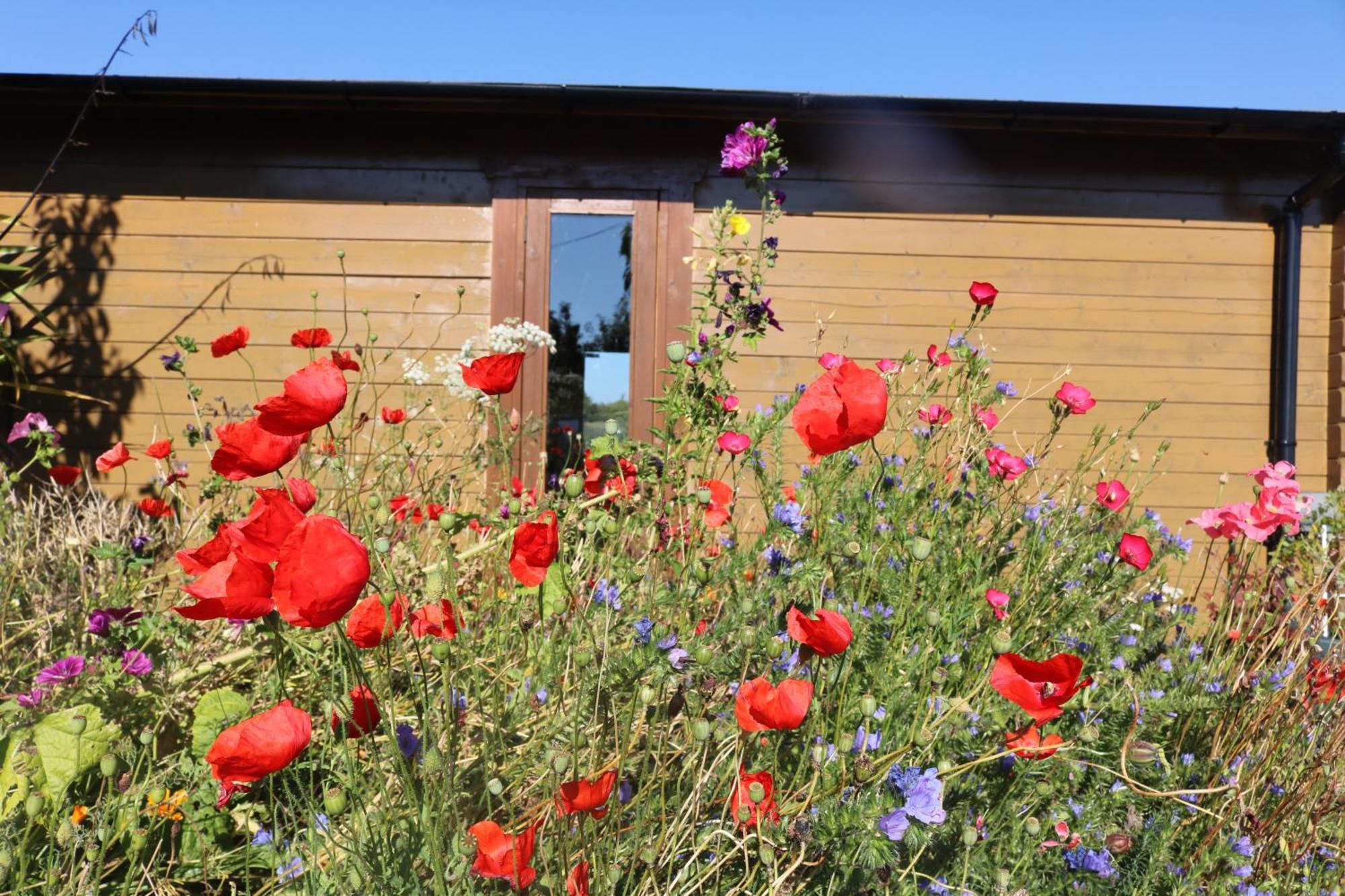 The Cabin Pipershill Newtownbutler Exteriör bild