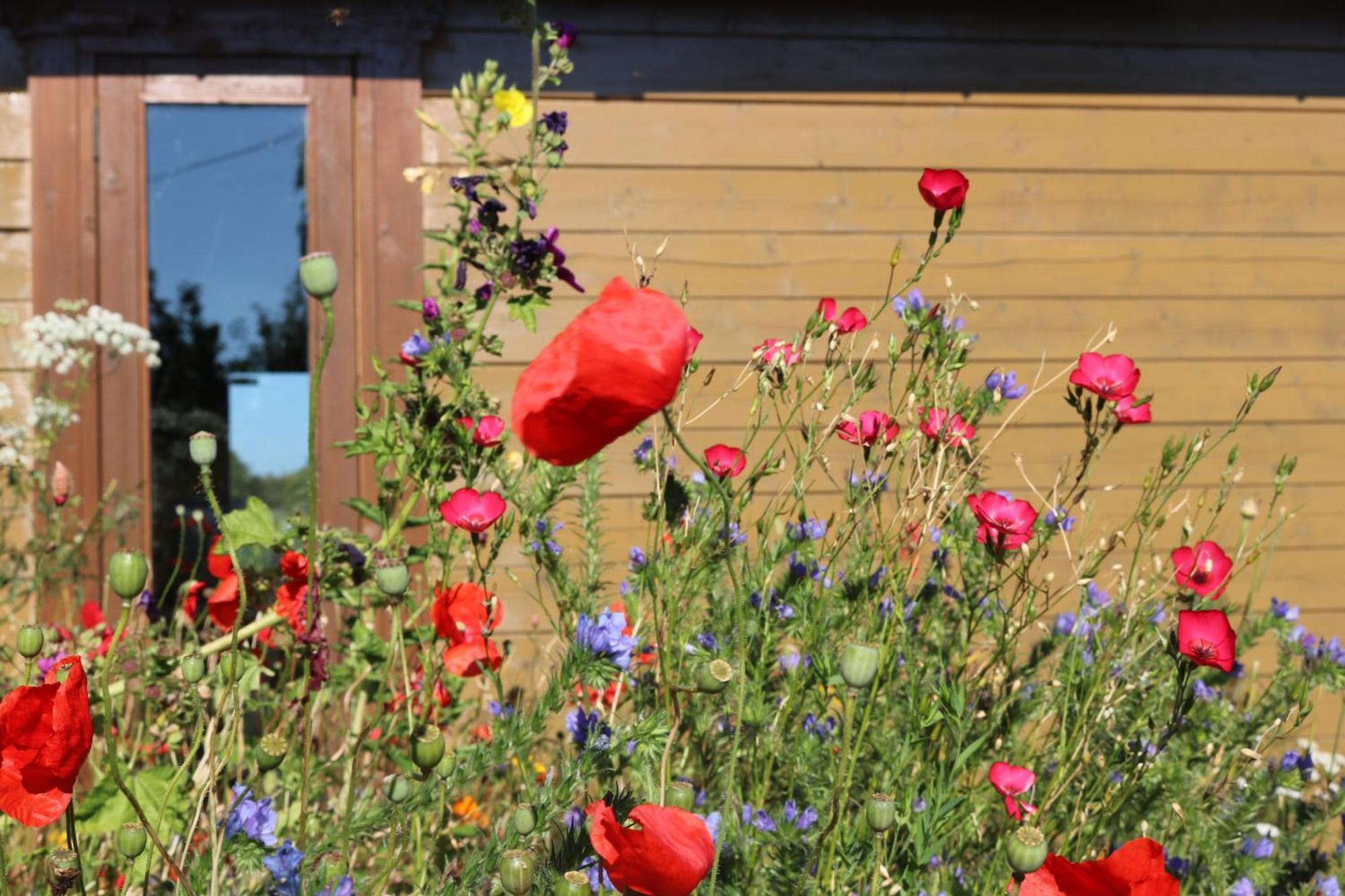 The Cabin Pipershill Newtownbutler Exteriör bild